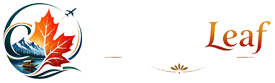 Chinar Leaf Journeys